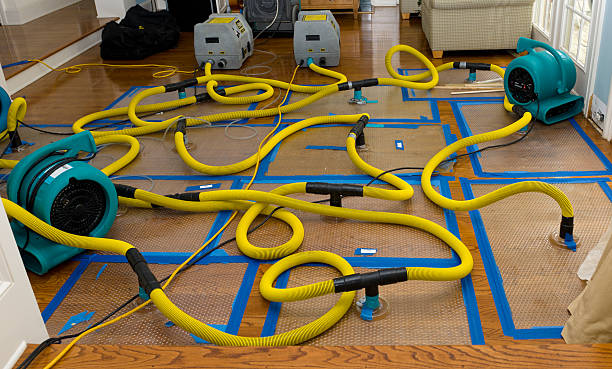 Professional Structural Drying And Dehumidification technician working in Holgate, OH